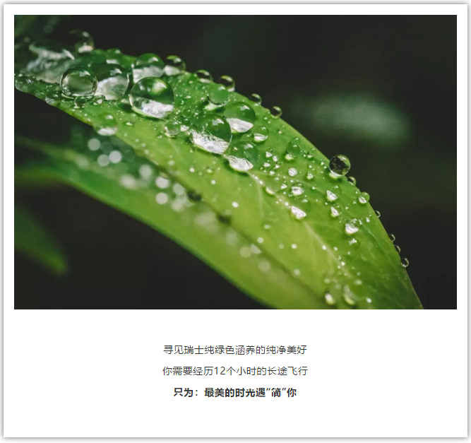 1536216194377862.png image.png