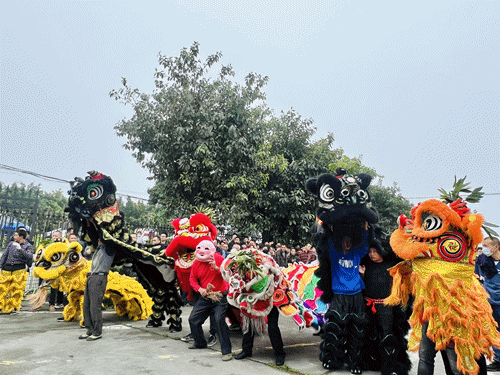 图1（动图）.gif